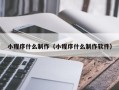 柳林小程序什么制作（小程序什么制作软件）
